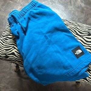 The North Face Sweats shorts sz large